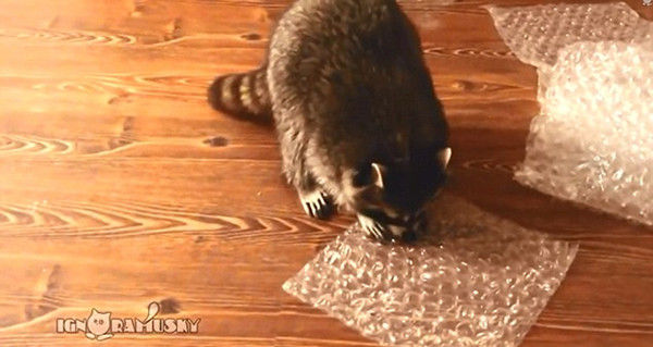 氣泡膜,氣泡袋,氣墊膜,武漢氣泡膜,湖北氣泡膜,氣泡膜哪里有賣 氣泡膜,氣泡袋,氣墊膜,武漢氣泡膜,湖北氣泡膜,氣泡膜哪里有賣